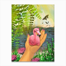 Haven - Flamingo in Hand Canvas Print