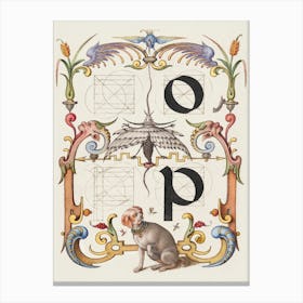 Guide For Constructing The Letters O And P From Mira Calligraphiae Monumenta, Joris Hoefnagel Canvas Print
