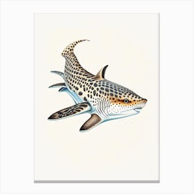 Leopard Shark Vintage Canvas Print