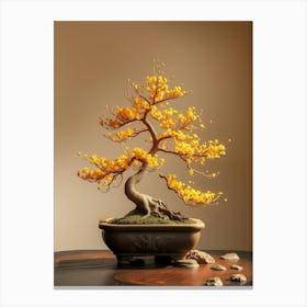 Bonsai Tree 10 Canvas Print