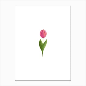 Pink Tulip On White Canvas Print
