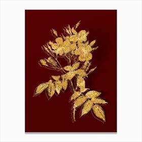 Vintage Musk Rose Botanical in Gold on Red n.0495 Canvas Print