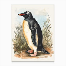 Adlie Penguin Phillip Island The Penguin Parade Vintage Botanical Painting 2 Canvas Print