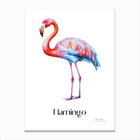 Flamingo. Long, thin legs. Pink or bright red color. Black feathers on the tips of its wings.10 Canvas Print