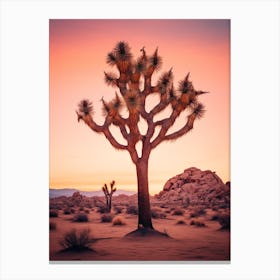  Photograph Of A Joshua Tree At Dusk In Desert 4 Canvas Print