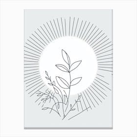Leaf In The Sun Canvas Print