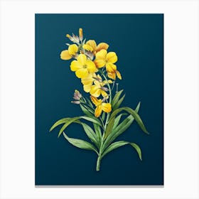 Vintage Cheiranthus Flower Botanical Art on Teal Blue n.0729 Canvas Print