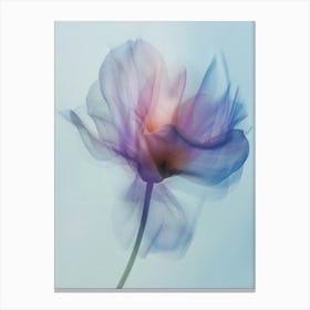 Poster Icm Flower 5 Canvas Print