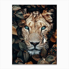 Lioness With Blue Eyes Canvas Print