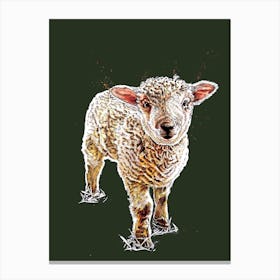 The Lamb On Forest Green Canvas Print