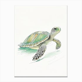 Flatback Sea Turtle (Natator Depressus), Sea Turtle Pencil Illustration 2 Canvas Print