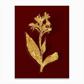 Vintage Water Canna Botanical in Gold on Red Canvas Print
