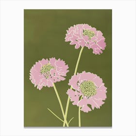 Pink & Green Scabiosa 1 Canvas Print