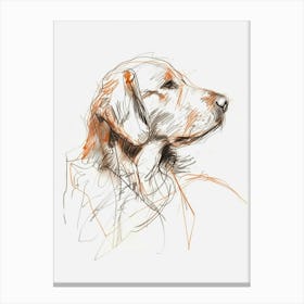 Golden Retriever Dog Orange Line Canvas Print