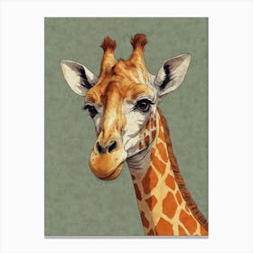 Giraffe 44 Canvas Print