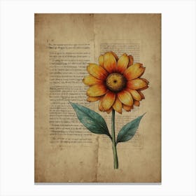 Flower In A Book Canvas Print