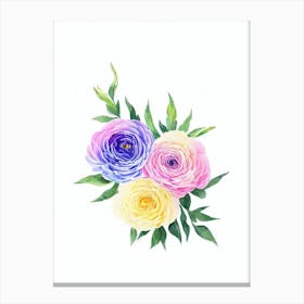 Ranunculus Watercolour Flower Canvas Print