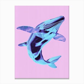 Blue Whale on Pink Canvas Print