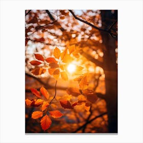 Autumn Leaves In The Sunlight 1 Canvas Print