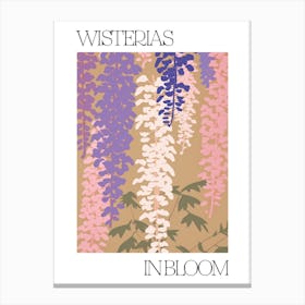 Wisterias In Bloom Flowers Bold Illustration 4 Canvas Print