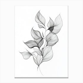 Black And White Drawing Of Leaves Canvas Print