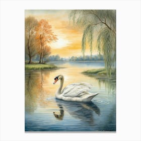 Swan Art Print Canvas Print