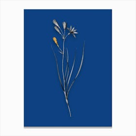 Vintage Amaryllis Montana Black and White Gold Leaf Floral Art on Midnight Blue n.0395 Canvas Print