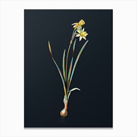 Vintage Narcissus Calathinus Botanical Watercolor Illustration on Dark Teal Blue n.0216 Canvas Print