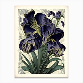 Iris Floral 3 Botanical Vintage Poster Flower Canvas Print