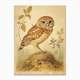 Burrowing Owl Vintage Illustration 4 Canvas Print