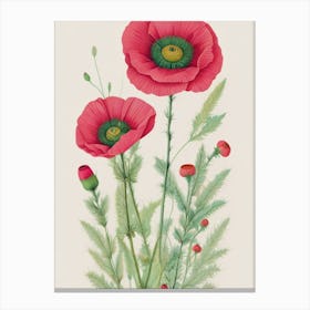 Poppies 4 Canvas Print