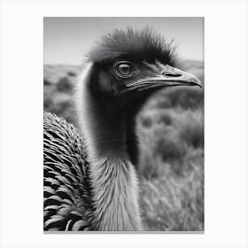 Emu in the wild Canvas Print