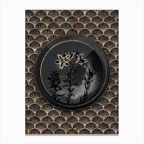 Shadowy Vintage Lily of the Incas Botanical in Black and Gold n.0114 Canvas Print