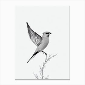 Cedar Waxwing B&W Pencil Drawing 3 Bird Canvas Print