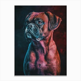 Boxer Canvas Print 1 Lienzos