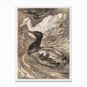Two Swimming Ducks (1878–1909), Theo Van Hoytema Canvas Print