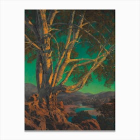 Tree At Night Canvas Print