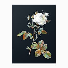 Vintage White Provence Rose Botanical Watercolor Illustration on Dark Teal Blue n.0298 Canvas Print