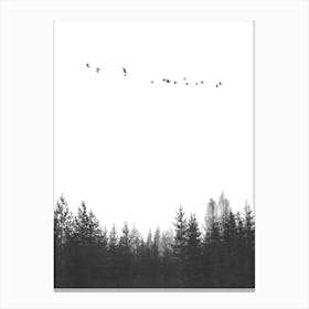 In The Forest Canvas Print