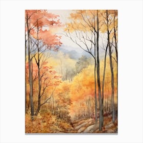 Autumn Forest Landscape The Shawnee National Forest 1 Canvas Print