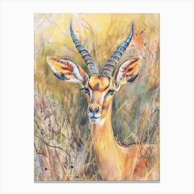 Antelope Pastel Watercolour 4 Toile