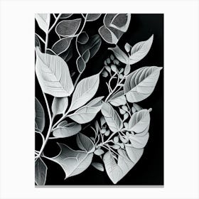 Eucalyptus Leaf Linocut Canvas Print