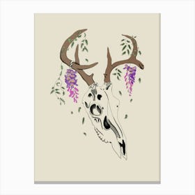 Deer Skull With Wisteria Canvas Print