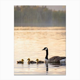 Canadian Geese 17 Canvas Print