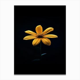 Single Yellow Flower 19 Canvas Print