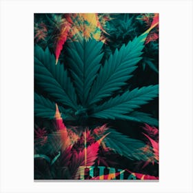 Marijuana Leaves Canvas Print