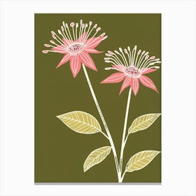 Pink & Green Passionflower 1 Canvas Print