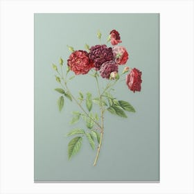 Vintage Ternaux Rose Bloom Botanical Art on Mint Green n.0706 Canvas Print