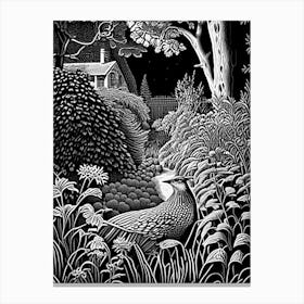 Chanticleer Garden, 1, Usa Linocut Black And White Vintage Canvas Print