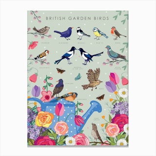 British Garden Birds Canvas Print